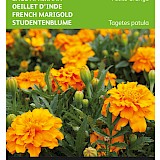 Buzzy Lage Afrikaan Zaden Petite Orange
