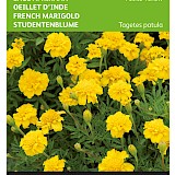 Buzzy Lage Afrikaan Zaden Petite Yellow