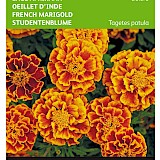 Buzzy Lage Afrikaan Zaden Bolero