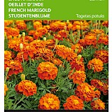 Buzzy Lage Afrikaan Zaden Carmen