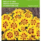 Buzzy Lage Afrikaan Zaden Naughty Marietta