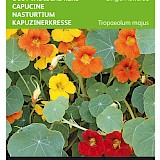 Buzzy Oost-Indische Kers Zaden Single Flowered