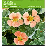 Buzzy Oost-Indische Kers Zaden Alaska TT Salmon