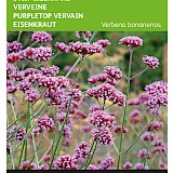 Buzzy Stijf IJzerhard Zaden