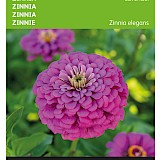 Buzzy Zinnia Zaden Lavendel