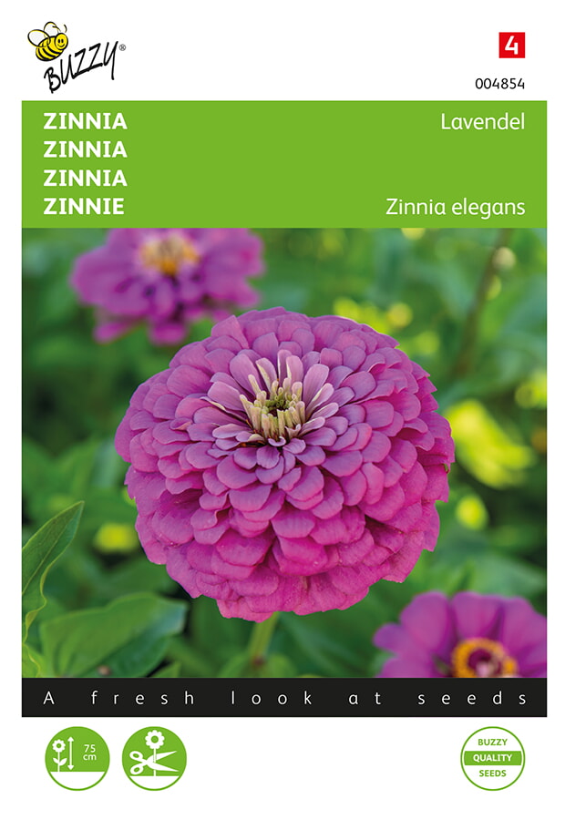 Buzzy Zinnia Zaden Lavendel