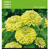 Buzzy Zinnia Zaden Envy