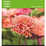 Buzzy Zinnia Zaden Eldorado