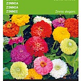 Buzzy Zinnia Zaden Dahlia Flowered
