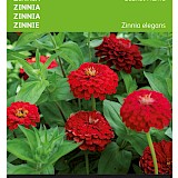 Buzzy Zinnia Zaden Scarlet Flame