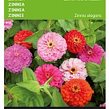 Buzzy Zinnia Zaden Californische Reuzen