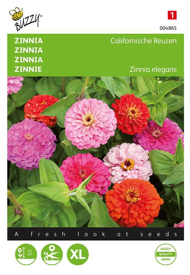 Buzzy Zinnia Zaden Californische Reuzen