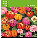 Buzzy Zinnia Zaden Lilliput
