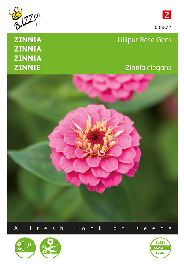 Buzzy Zinnia Zaden Lilliput Gem