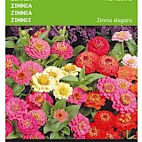 Buzzy Zinnia Zaden Thumbelina