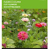 Buzzy Snijbloemen Zaden Mixture