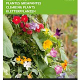 Buzzy Klimplanten Zaden Mixture