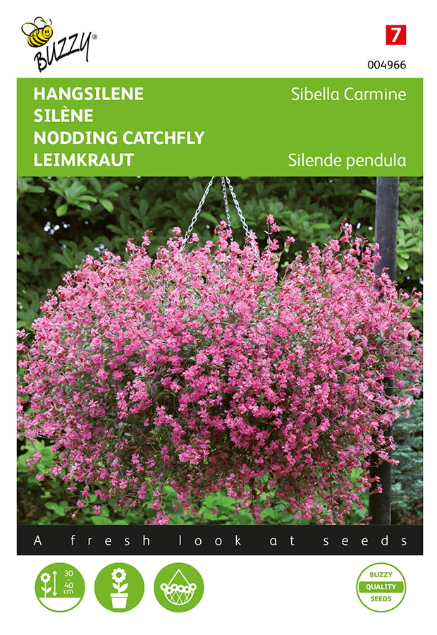 Buzzy Hangsilene Zaden Sibella Carmine