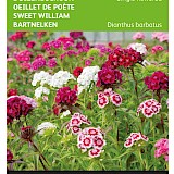 Buzzy Duizendschoon Zaden Single Flowered