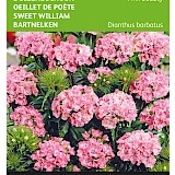 Buzzy Duizendschoon Zaden Pink Beauty