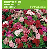 Buzzy Duizendschoon Zaden Mixed