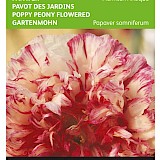 Buzzy Papaver Zaden Flemish Antique