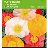 Buzzy IJslandse Papaver Zaden Mixed