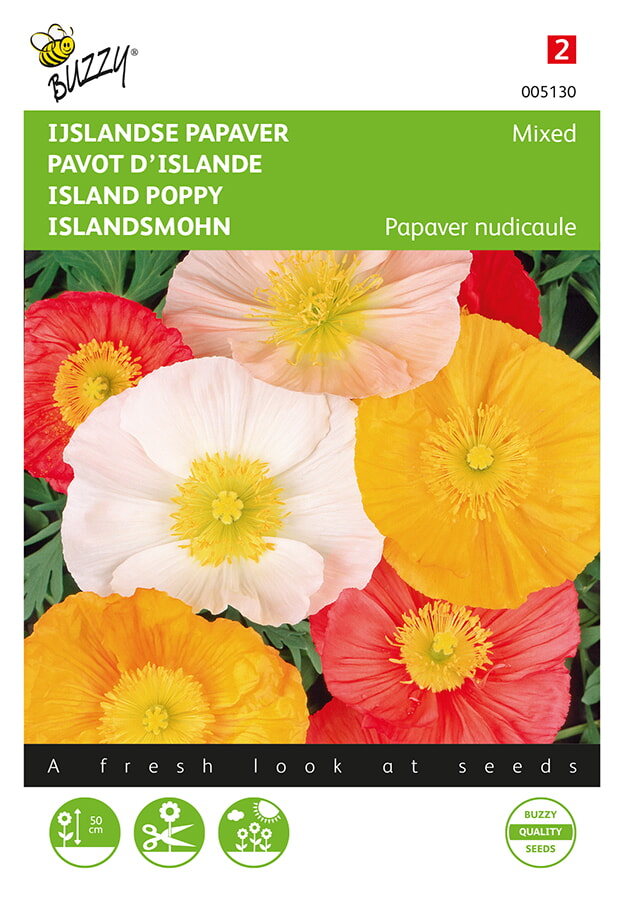 Buzzy IJslandse Papaver Zaden Mixed
