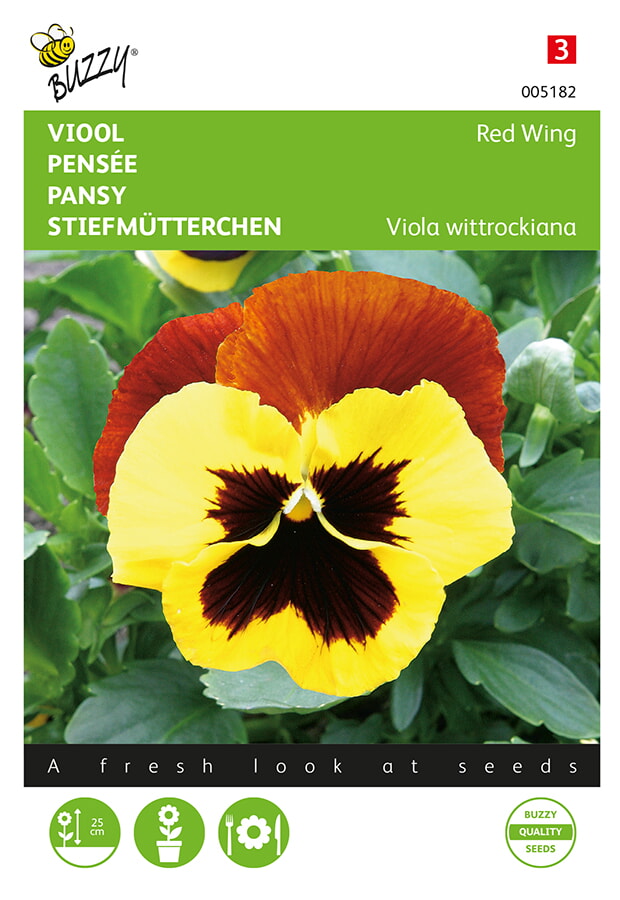 Buzzy Viool Zaden Red Wing