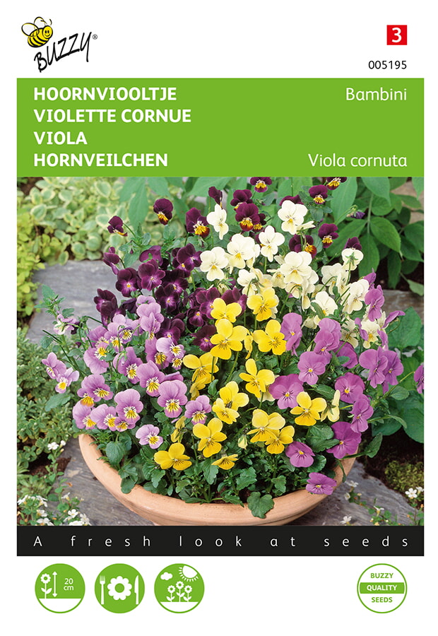 Buzzy Hoornviooltje Zaden Bambini