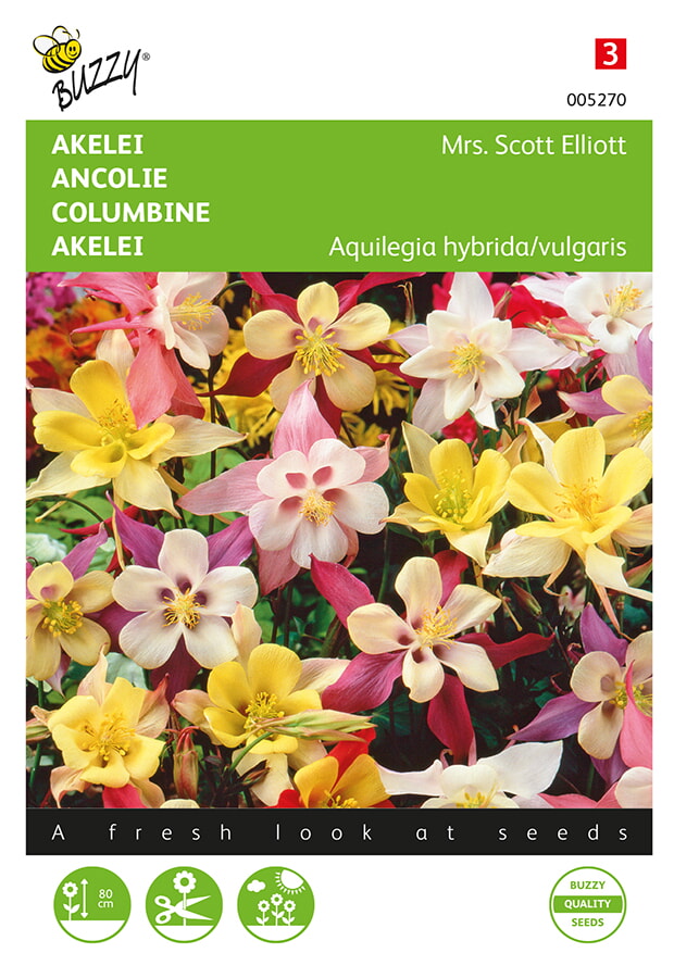 Buzzy Akelei Zaden Mrs Scott Elliot