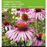Buzzy Roze Zonnehoed Zaden