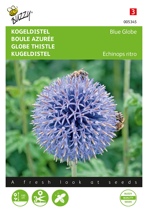 Buzzy Kogeldistel Zaden Blue Globe