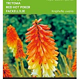 Buzzy Vuurpijl Zaden Royal Castle Hybrids