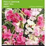 Buzzy Lathyrus Zaden Mixed