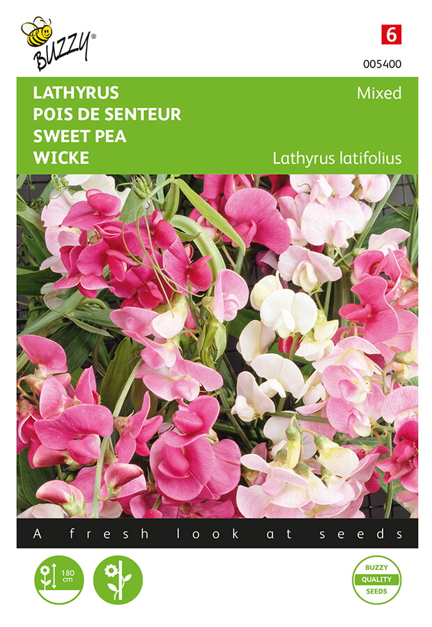 Buzzy Lathyrus Zaden Mixed