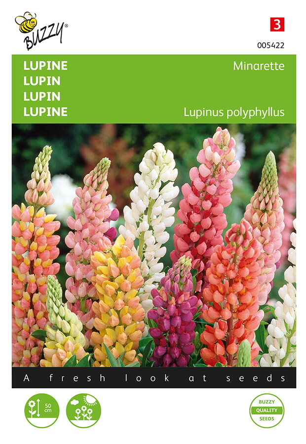 Buzzy Lupine Zaden Minarette