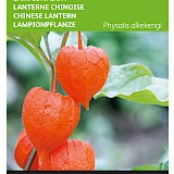Buzzy Lampionplant Zaden
