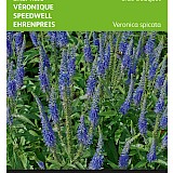 Buzzy Ereprijs Zaden Blue Bouquet