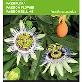 Buzzy Passiebloem Zaden
