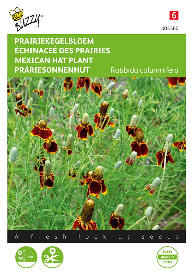 Buzzy Prairiekegelbloem Zaden
