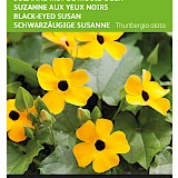 Buzzy Suzanne met de Mooie Ogen Zaden