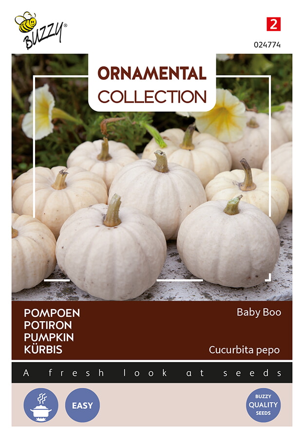 Buzzy Ornamental Pompoen Zaden Baby Boo