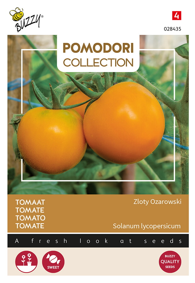 Buzzy Pomodori Tomaat Zaden Zloty Ozarowski