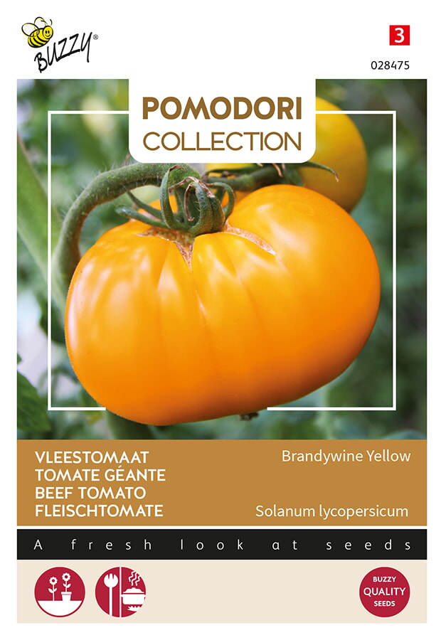 Buzzy Pomodori Vleestomaat Zaden Brandywine Yellow