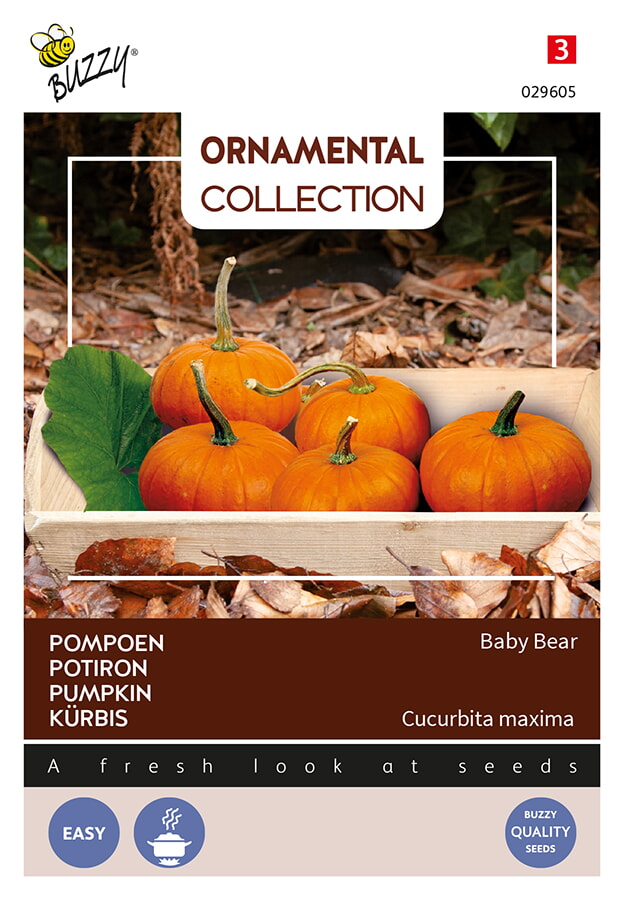 Buzzy Pompoen Zaden Baby Bear