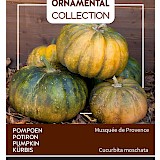 Buzzy Ornamental Pompoen Zaden Musquee de Provence