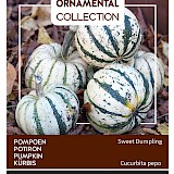 Buzzy Ornamental Pompoen Zaden Sweet Dumpling