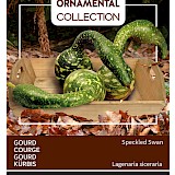 Buzzy Ornamental Gourd Zaden Speckled Swan