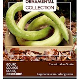 Buzzy Ornamental Gourd Zaden Cucuzzi Italian Snake